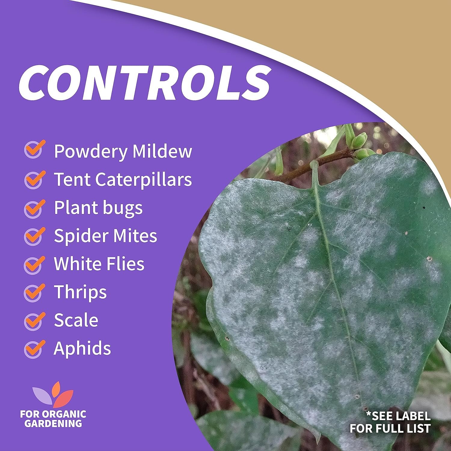 Bonide Insecticidal Soap, 32 oz Ready - Image 5