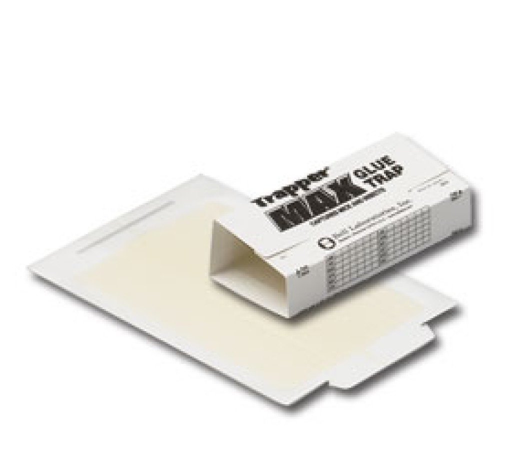 Trapper Max Glue Traps 12 Glue Boards Trap Mouse Bugs Insects Bed Bugs Spiders Cockroaches