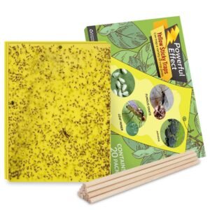 Kensizer 20-Pack Fruit Fly Trap