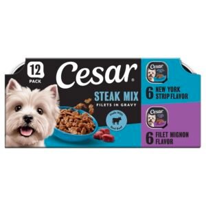 Cesar Filets in Gravy Adult Wet Dog Food Variety Pack Filet Mignon and New York Strip - 3.5 oz | Pack of 1