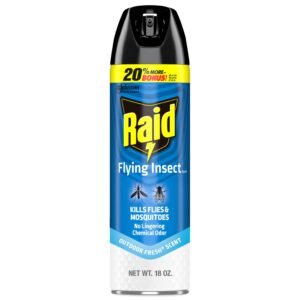 Raid Flying Insect Spray, 18oz
