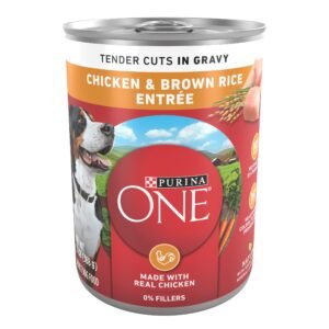 Purina ONE Natural High Protein Dog Food Tender Cuts in Gravy Chicken and Brown Rice Entr e - 13 Ounce | Pack of 12