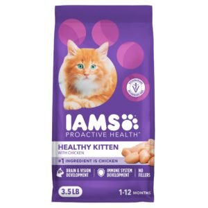 IAMS Proactive Health Kitten Dry Cat Food Healthy Kitten Food Dry Recipe with Real Chicken in - 3.5 Lb