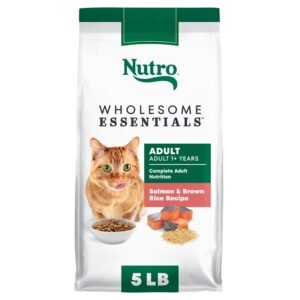 Nutro Wholesome Essentials Dry Cat Food, Adult Dry Cat Food Salmon & Brown Rice Recipe - 5 lb