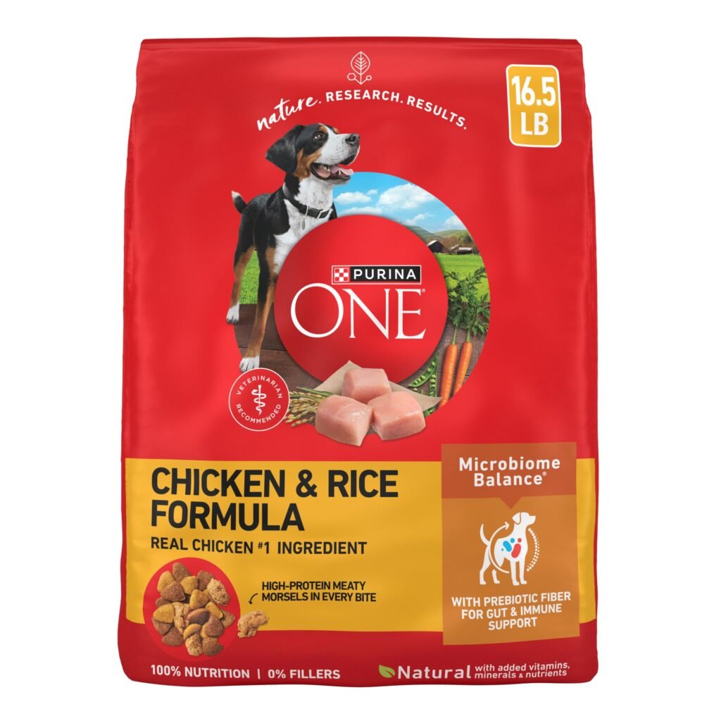 Purina ONE Chicken and Rice Formula Dry Dog Food - 16.5 lb