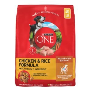 Purina ONE Chicken and Rice Formula Dry Dog Food - 40 lb