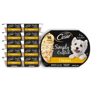 Cesar Simply Crafted Adult Wet Dog Food Toppers for Dry Food Chicken Tubs - 1.3 oz | Pack of 10
