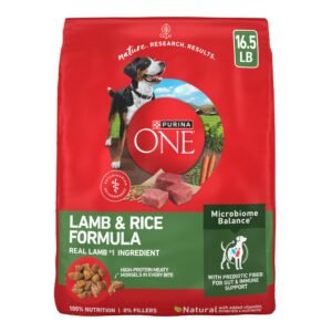 Purina ONE Dry Dog Food Lamb and Rice Formula - 16.5 lb