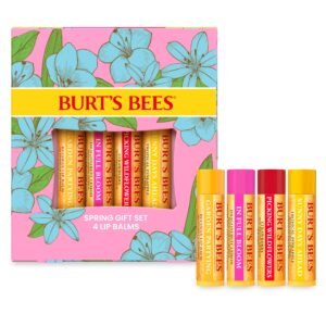 Burt's Bees Gifts Ideas - 4 Tubes, 0.15 oz
